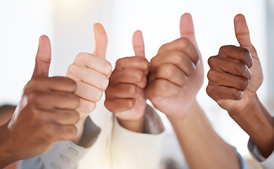 Image showing Thumbs up, diversity and people with success in the office for team building, collaboration or teamwork. Multiracial, business and hands of employees with an agreement, yes or ok gesture in workplace