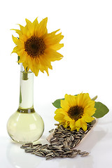 Image showing Sunflower Seeds and Oil Bottle