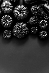 Image showing Composition of small black pumpkins