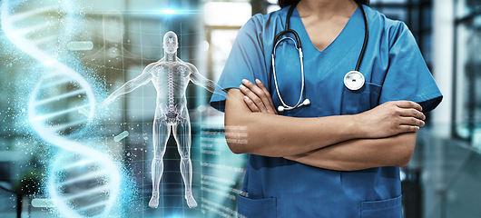 Image showing Woman doctor, healthcare and body hologram overlay for health, wellness and hospital insurance. Person arms and 3d anatomy ai technology for medical abstract or dna future, innovation and development