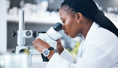 Image showing Black woman, medical science and microscope in laboratory for research, analytics and medicine. Woman, doctor and scientist study at work for an investigation, healthcare and futuristic or innovation