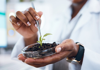 Image showing Science, plants and black woman research growth, agriculture development and food security in medical study. Fertilizer soil, eco friendly test and scientist or professional person hands for health