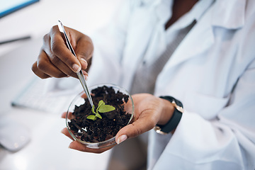 Image showing Plants research, science black woman and agriculture growth development, food security and medical study. Fertilizer soil, eco friendly test and scientist or professional person hands for healthcare