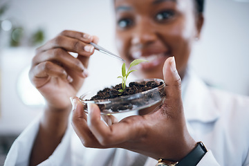 Image showing Science laboratory, black woman and plants in Petri dish for agriculture study, sustainability research and food security. Growth soil, eco friendly test and scientist or professional person portrait