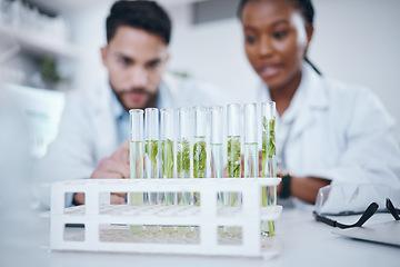 Image showing Plant samples, science test tubes and lab workers in a agriculture facility doing research. Laboratory teamwork, ecology innovation and sustainable growth study with scientists working with leaf