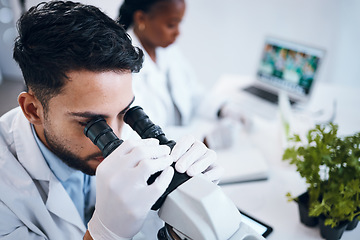 Image showing Science, research and male scientist with a microscope for an analysis, test or experiment in medical lab. Innovation, biotechnology and man pharmaceutical researcher or expert working in laboratory.