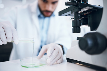 Image showing Science, liquid and man with test tube in laboratory for plant research, medicine development and chemistry. Biotechnology, agriculture and scientist with pipette for experiment, study and analysis