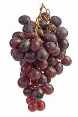 Image showing Grapes