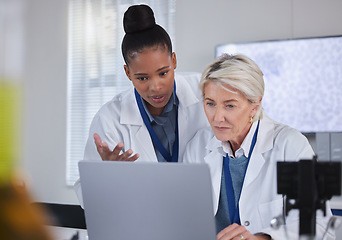 Image showing Laptop, teamwork and doctors planning in laboratory for medical research for science. Computer, collaboration and researchers, black woman and senior female helping, discussion and brainstorming.