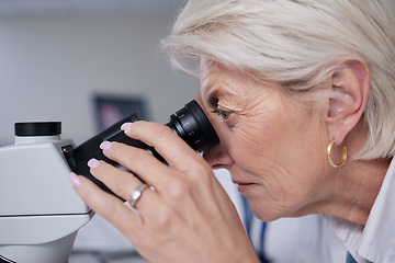 Image showing Microscope, doctor and senior woman in laboratory for research, experiment or innovation. Science, biotechnology and elderly female scientist with medical equipment for sample analysis or testing.