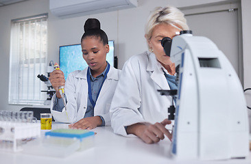 Image showing Research, microscope and science women for teamwork, medical analysis of liquid in laboratory. Biotechnology, pharmaceutical medicine test and scientist or student black woman and professional senior