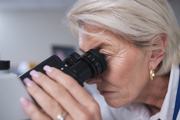 Image showing Doctor, microscope and senior woman in laboratory for research, experiment or innovation. Science, biotechnology and elderly female scientist with medical equipment for sample analysis or testing.