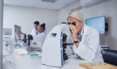 Image showing Senior woman, microscope and scientist in laboratory for research, experiment or innovation. Science, biotechnology and elderly female doctor with medical equipment for sample analysis or testing.