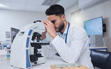 Image showing Man, microscope and scientist in laboratory for research, experiment or innovation. Science, technology and male researcher or doctor with medical equipment for sample analysis or bacteria testing.