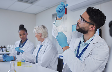 Image showing Science, laboratory and man with blood in test tube for medical research, dna testing and investigation. Biotechnology, teamwork and forensic scientists with sample for analysis, study and experiment