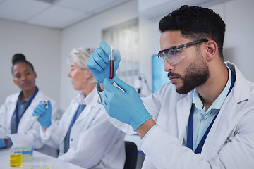 Image showing Science, laboratory and team with blood in test tube for medical research, investigation or dna testing. Biotechnology, forensic lab and scientists with fluid sample for analysis, study or experiment