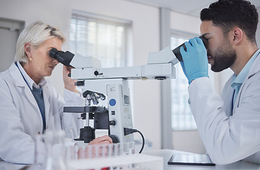 Image showing Research, microscope and science people teamwork, medical analysis and exam in laboratory. Biotechnology, pharmaceutical medicine and scientist internship or student with professional senior doctor