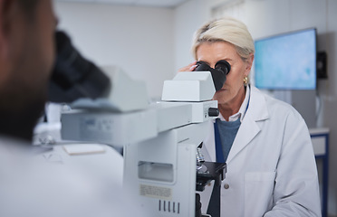 Image showing Mature woman, science or laboratory microscope in medical research, future dna engineering or bacteria analytics. People, scientist or teamwork collaboration on equipment for healthcare pharmacy test