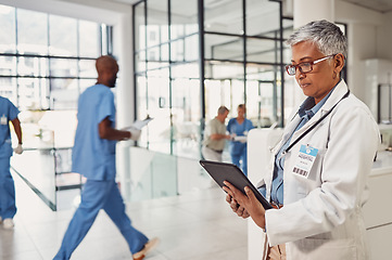 Image showing Doctor, tablet and hospital or clinic lobby, reading patient chart, email or insurance information in India. Internet, medicine and technology, medical worker checking online info, schedule or report