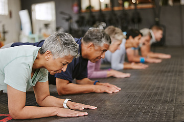 Image showing People, fitness and plank in class at gym for workout, core exercise or training together indoors. Diverse group or team in warm up ab muscle session for sport, health or wellness on gymnasium floor