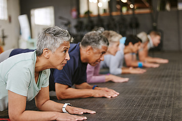 Image showing People, fitness and plank in class for workout, core exercise or training together at indoor gym. Diverse group or team in warm up ab muscle session for sport, health or wellness on gymnasium floor