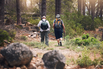 Image showing Hiking, fitness and people walking in forest for adventure, freedom and sports on mountain trail. Travel, training and back of hikers for exercise wellness, trekking and cardio workout in nature