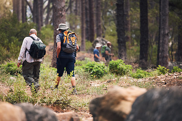 Image showing Hiking, fitness and people walking in forest for adventure, freedom and wellness in woods. Travel, outdoors and group of men hikers in natural environment for exercise, trekking and cardio workout