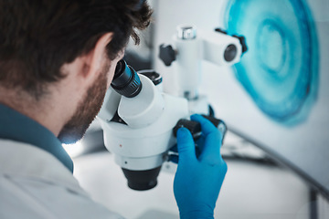 Image showing Science, microscope and laboratory with a scientist checking research data from bacteria study. Chemistry lab, biotechnology and back of scientist working on chemical innovation and dna analytics