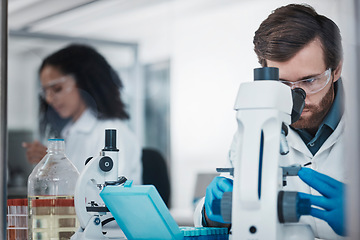 Image showing Man, doctor and forensic science with microscope for examination, experiment or test at the laboratory. Male scientist looking at micro organisms for exam, breakthrough or testing to find cure at lab