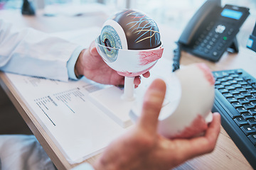 Image showing Optometry, eye vision model and optometrist doing research for eye care or anatomy in the clinic. Healthcare, 3d and closeup male ophthalmologist working with a human plastic mould in a optical store