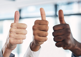 Image showing Thumbs up, hands and group together in office with diversity, agreement and solidarity at job. Business people, hand sign and solidarity with team building, collaboration and motivation in workplace