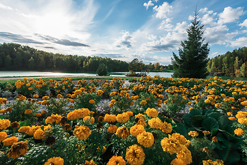 Image showing Summer landscape of lake with crystal and fresh water Aya