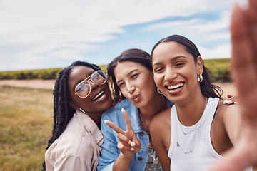 Image showing Peace sign, friends and selfie with women in nature for social media, bonding and summer break. Smile, diversity and happiness with portrait of girl in outdoor park for adventure, freedom and youth