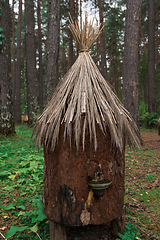 Image showing Old bee-hive in the forest
