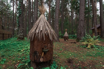 Image showing Old bee-hive in the forest