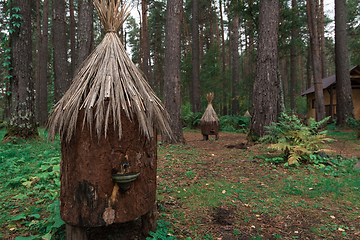 Image showing Old bee-hive in the forest