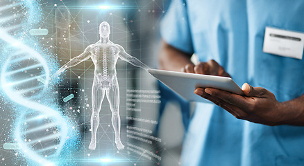 Image showing Hands, tablet and doctor with body hologram, overlay and dna research for medical innovation on app. Medic man, nurse and mobile touchscreen for typing on anatomy study or 3d holographic ux in clinic