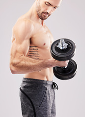 Image showing Arm training, dumbbell and bodybuilder man workout in a studio for fitness, exercise and power. Gray background, isolated and gym model weightlifting, bodybuilding focus and doing body wellness