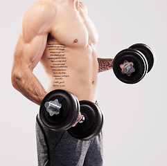 Image showing Arms muscle, dumbbells and bodybuilder man workout in studio for fitness and exercise with tattoo. Gray background, isolated and gym model weightlifting, bodybuilding or doing body wellness training