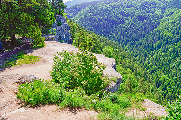 Image showing Lookout in Slovak Paradise