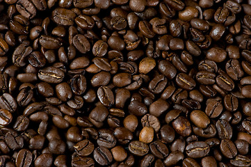 Image showing Texture, coffee beans