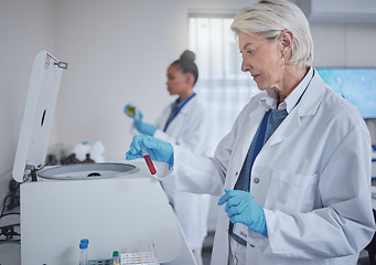 Image showing Science, laboratory or woman with blood in test tube for medical search, healthcare or dna research. Biotechnology, medicine lab or scientists doctor with fluid sample analysis, study or innovation