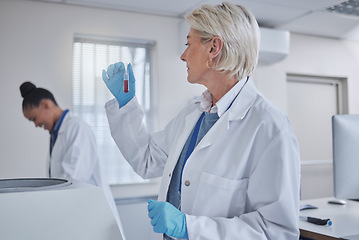 Image showing Thinking, laboratory or woman with blood in test tube for medical search, healthcare or dna research. Science, medicine lab or scientists doctor with fluid sample analysis, study or results examine