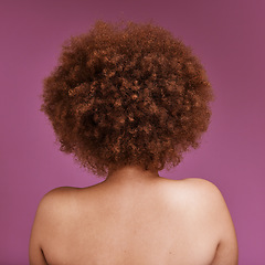 Image showing Rear view, black woman and afro of hair in studio for ethnicity texture, headshot and pink background. Back of african model, curly haircare cosmetics and beauty for skincare, scalp and salon shampoo
