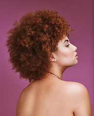 Image showing Woman, shoulder or afro hairstyle on isolated purple background in empowerment, curly maintenance or skincare salon. Beauty model, natural or hair growth texture on cosmetics studio or relax backdrop