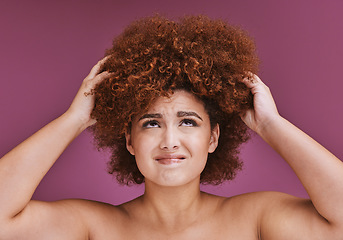 Image showing Model stress, hair loss or afro on beauty studio background in grooming, texture anxiety or fail. Woman, hand or natural hairstyle with damage, split ends or frizzy knot on isolated skincare backdrop