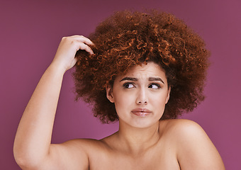 Image showing Woman stress, hair loss or afro on beauty studio background in grooming, texture anxiety or fail. Model, hand or natural hairstyle with damage, split ends or frizzy knot on isolated skincare backdrop