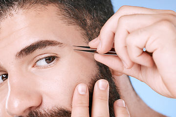 Image showing Aesthetic, beauty and hair removal with eyebrow of man and tweezers for grooming, skincare and maintenance. Hygiene, cosmetics and self care with face of model shaping growth for treatment and facial