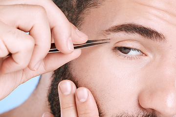 Image showing Tweezers, beauty and hair removal with eyebrow of man for grooming, skincare and maintenance. Hygiene, cosmetics and self care with closeup of model shaping growth for treatment, clan and facial