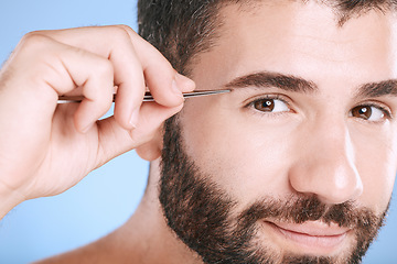 Image showing Eyebrow, tweezers and hair removal with portrait of man for grooming, skincare and maintenance. Hygiene, cosmetics and self care with face of model shaping growth for treatment, facial and beauty